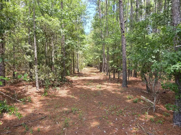 3435 Highway 430, Nichols, SC 29581
