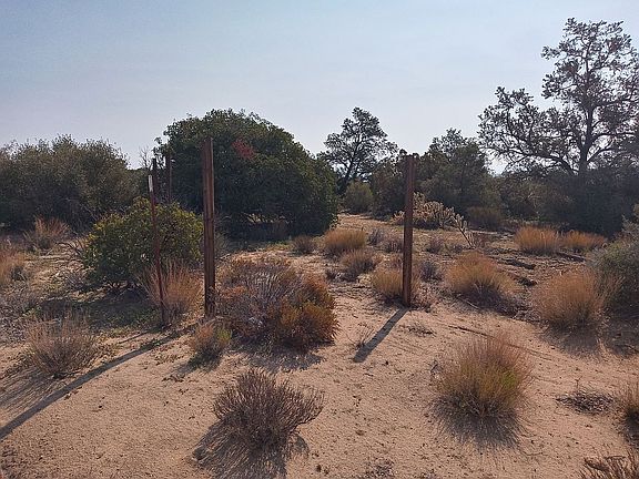 4th image of LOT 274 Locarno Hts