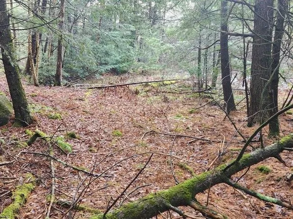 2051 Sheldon Woods Road, Fairfield, VT 05455