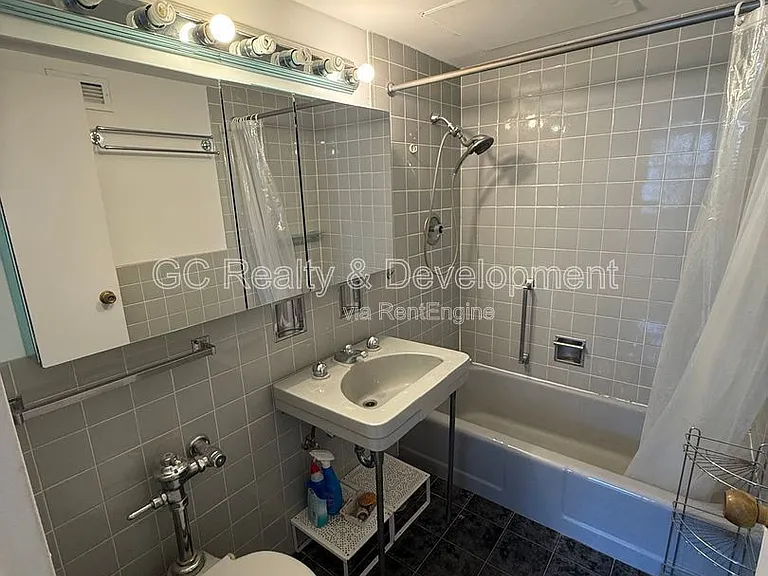 253 E Delaware Pl #19C — Photo 7