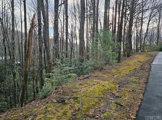 54 Black Oak Dr UNIT 6, Sapphire, NC 28774
