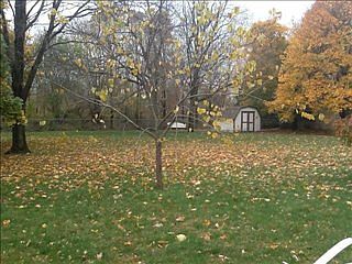 3rd image of 3605 Engel Dr