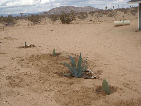 The start of landscaping