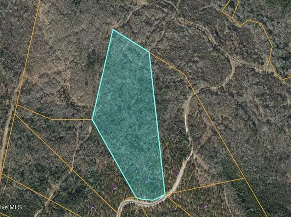 605 Fortis Farm Road LOT 13, Vass, NC 28394