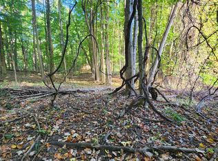 E Filmore Rd, Hart, MI 49420