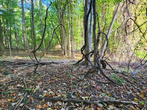 E Filmore Rd, Hart, MI 49420