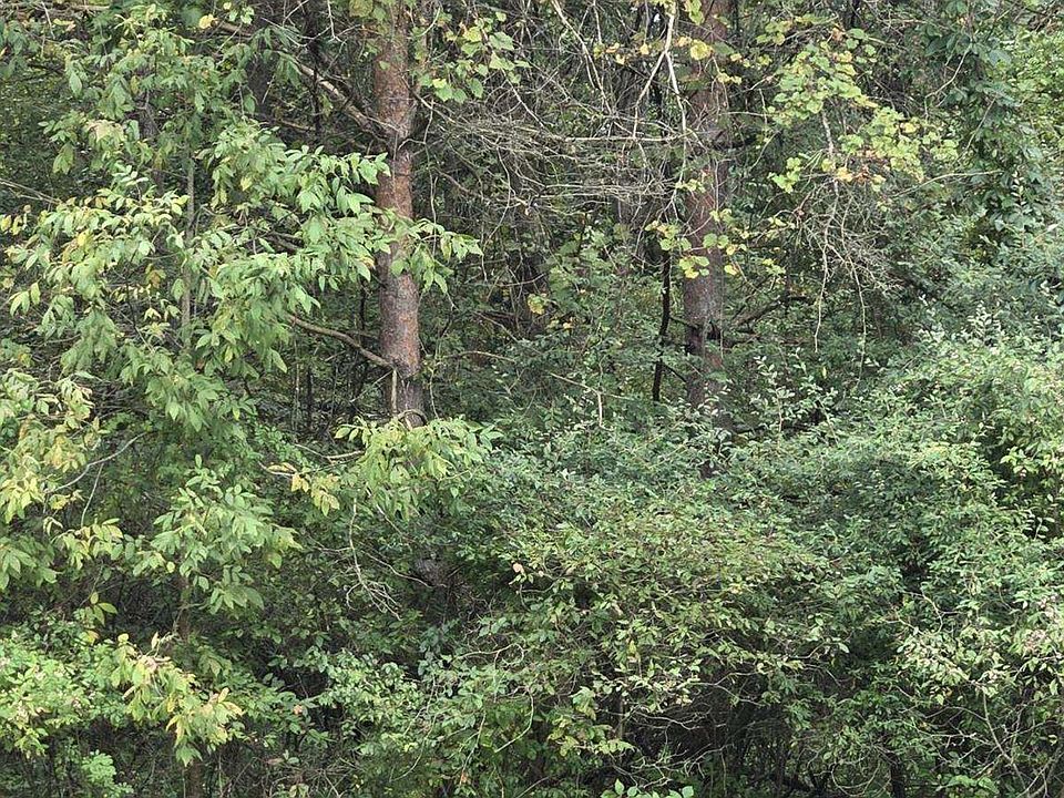 2nd image of V/l Shay Lake Rd