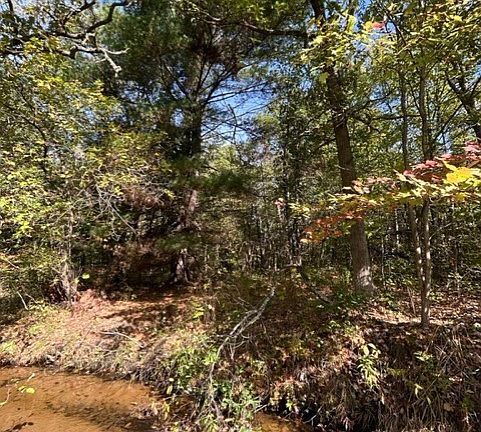 4th image of 20.67 Acres Green Acres Road