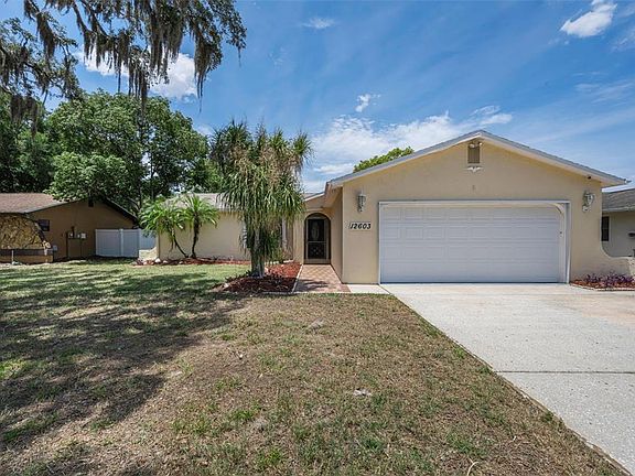 3rd image of 12603 Pecan Tree Dr