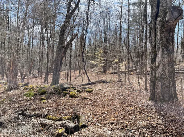 0C Campbell Rd, Plainfield, MA 01070