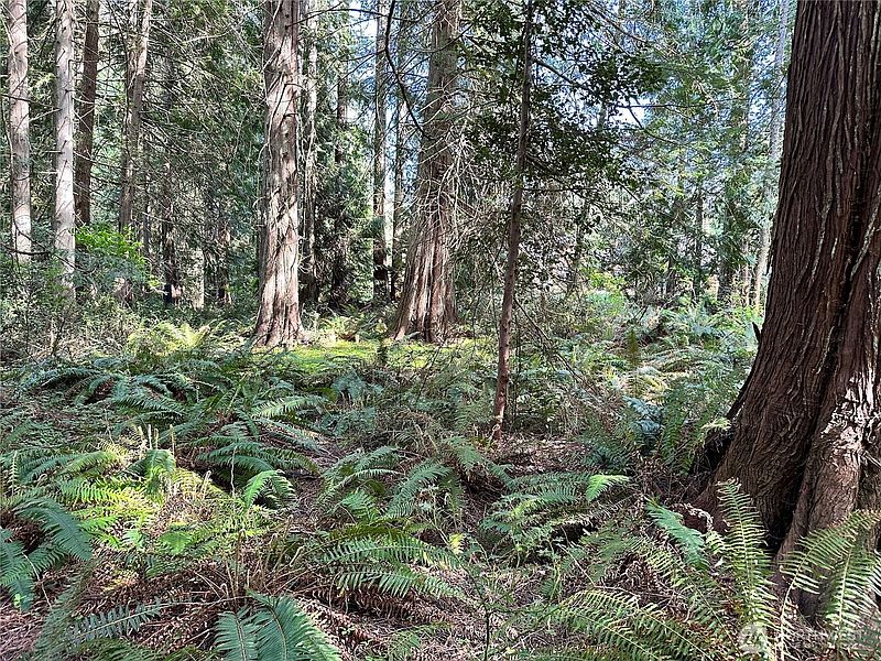 5th image of 0 Lot 31 NW Lakeness