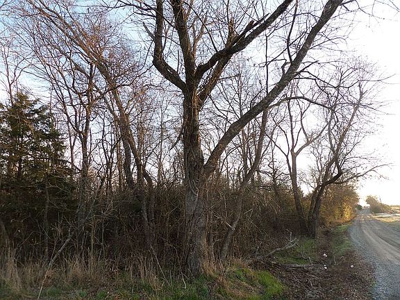 4th image of 231148 Hunt County Rd #1036
