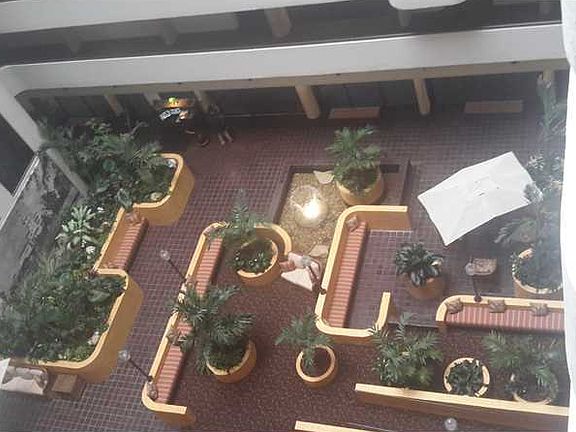 3rd image of 600 Biltmore Wy #703