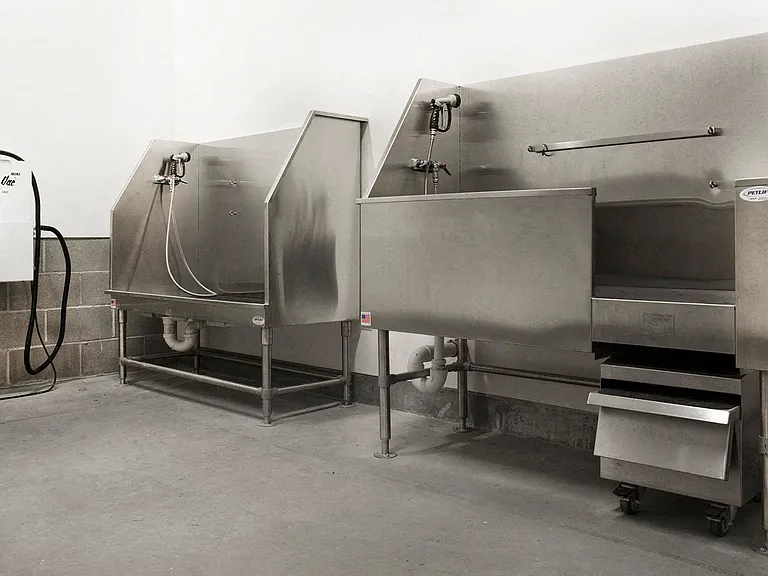 Pet wash spa area