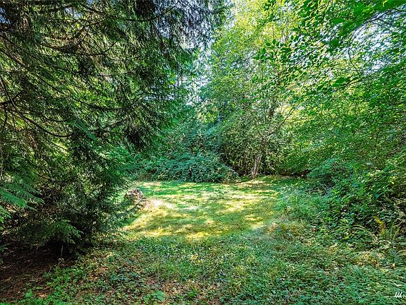 Shady areas>