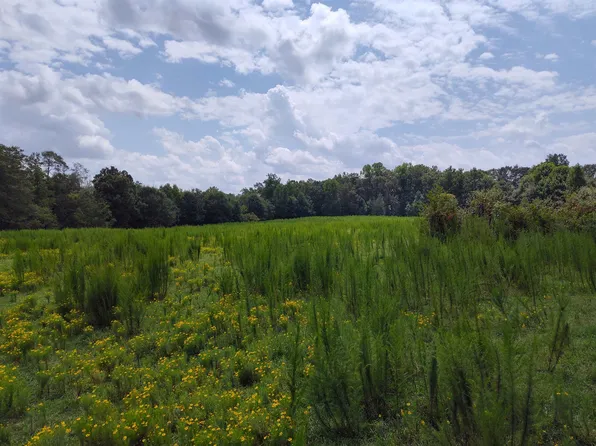 190 Griffin Rd, Chesnee, SC 29323