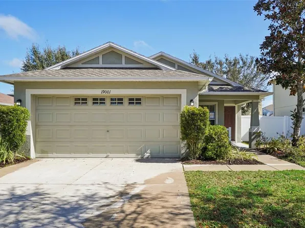 19001 Quarry Badger Rd, Land O Lakes, FL 34638