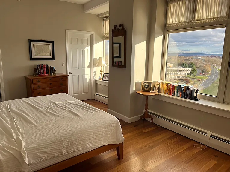 235 E River Dr #1007 — Photo 15