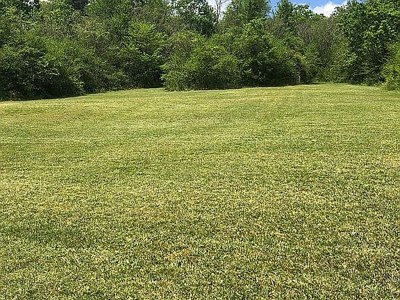 Gently rolling horse pasture