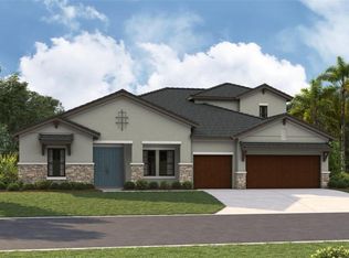 13492 Buffalo Mountain Ave, Riverview, FL 33579