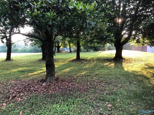 5th St E, Grant, AL 35747