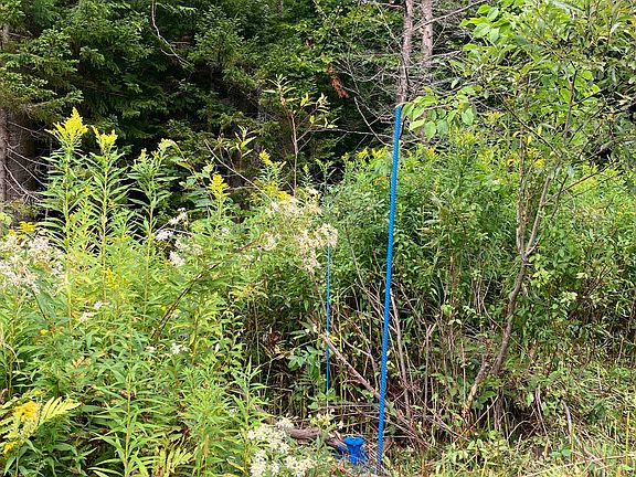 4th image of 925 Porcupine Lane #M-925