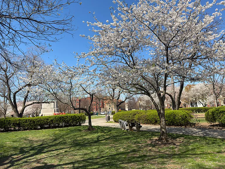 512 Constitution Ave NE #B — Photo 28