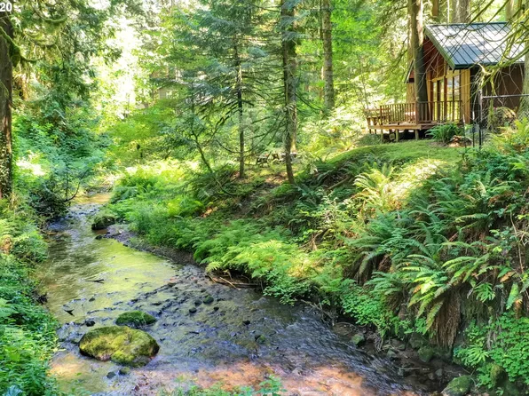 64563 E Broken Bridge Ln, Rhododendron, OR 97049