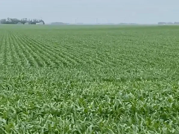 2309 120th St, Lu Verne, IA 50560