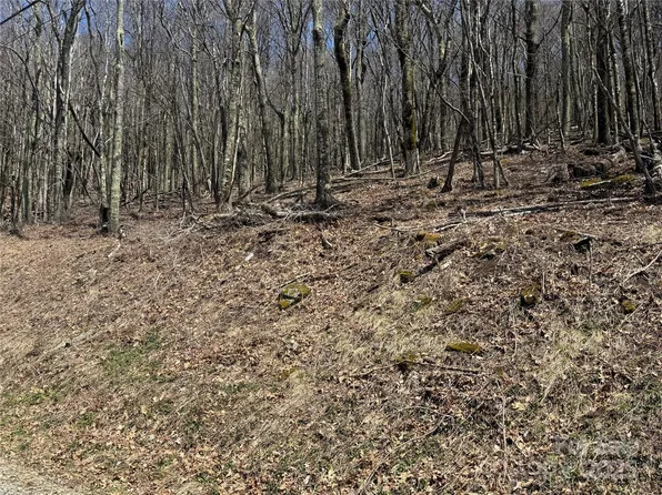 244 & 245 Grouse Thicket Ln, Mars Hill, NC 28754