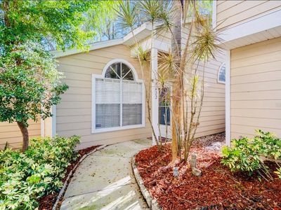 2422 Hounds Trl, Palm Harbor, FL, 34683