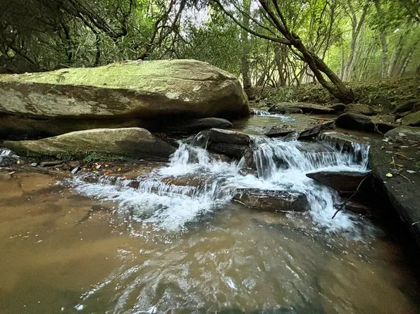 LOT-12B Hills Creek Rd, Mineral Bluff, GA 30559