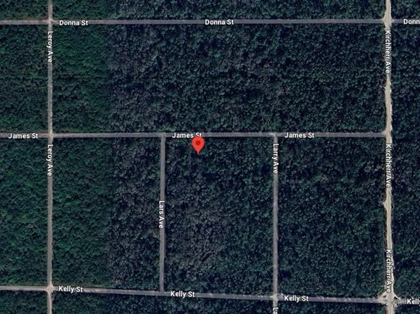 James St, Hastings, FL 32145