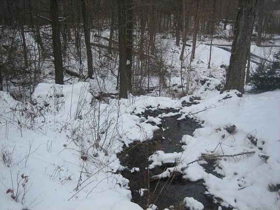 view of water From the bridge