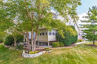 Paver Patio and Back Yard