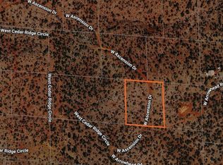 0 W TBD Ascension Drive #111, Red Lake, AZ 86044