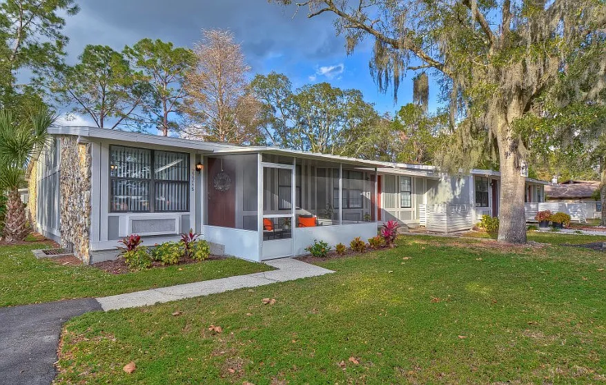 Live Oak — Photo 3