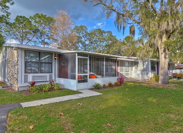 Live Oak — Photo 3