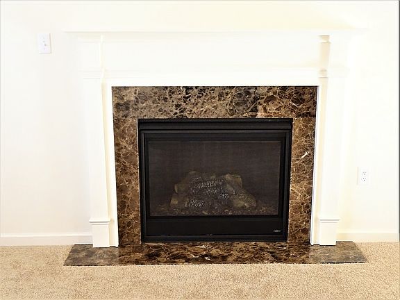 Fireplace Details