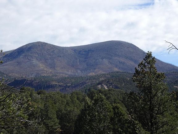 View from Back of Property