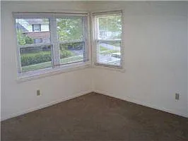 Energy efficient windows