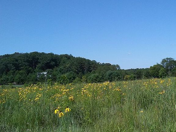 Looking south at pasture