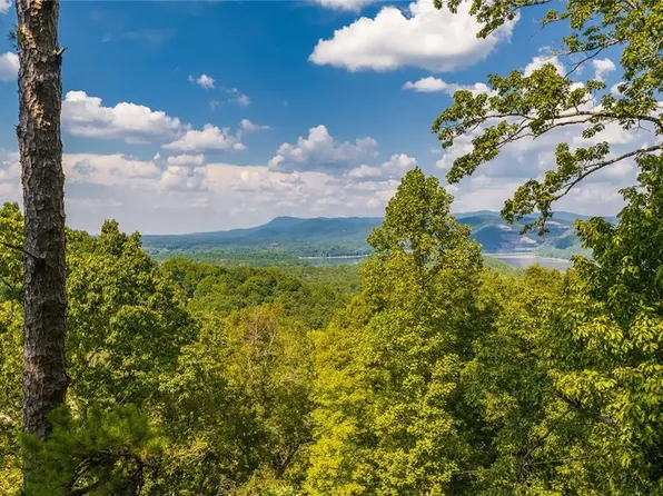 104 Hopewell Dr Lot 1, Ranger, GA 30734