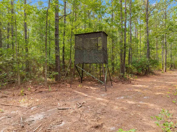 155.81 Acres - Roper Woods Rd., Lake City, SC 29560