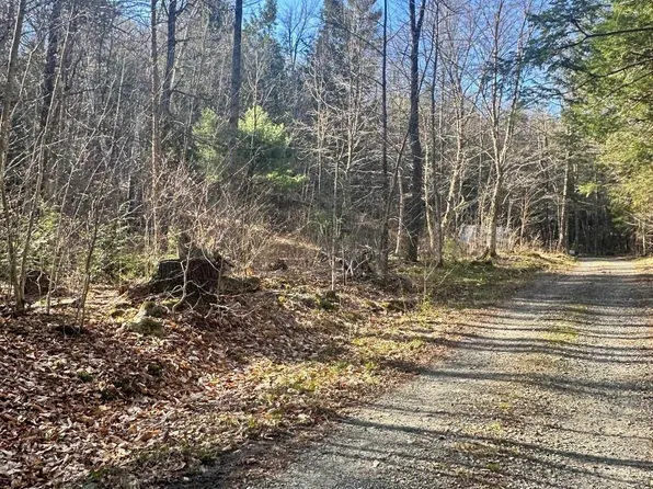 0 Hunter Brook Road, Marlboro, VT 05344