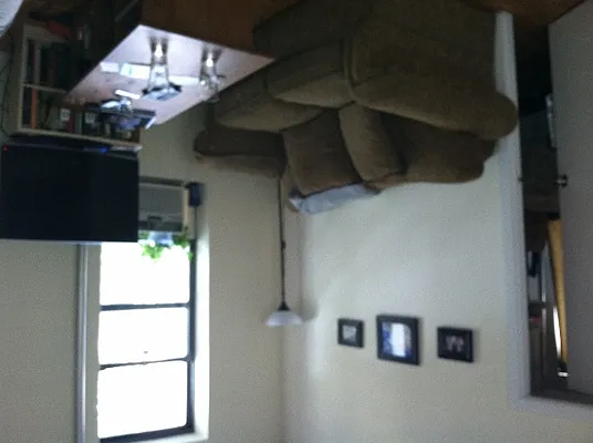 Rented by Eric Goodman Realty Corp | media 39