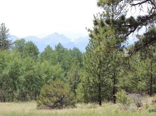 835 Edelweiss Dr, Westcliffe, CO 81252