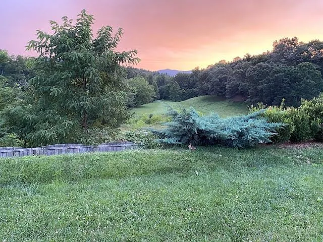 39 Mallard Run Dr — Photo 11
