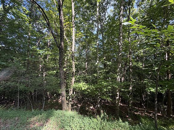 4th image of 5 Mill Ridge Rd