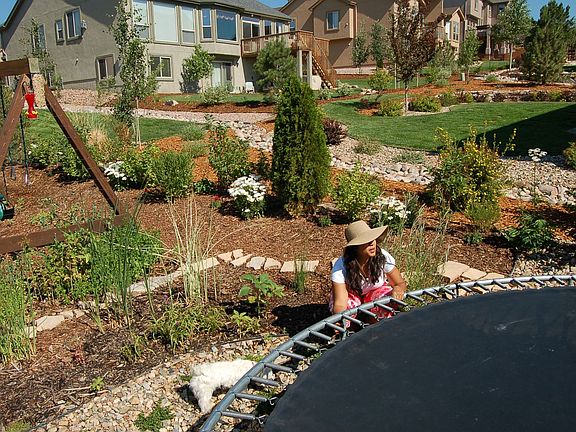 Backyard looking north